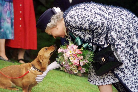 Foto d'archivio del 20 maggio 1998 mostra la regina Elisabetta con uno dei suoi Corgi