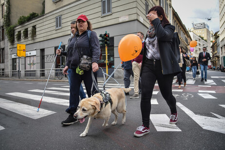 Manovra: biglietto del bus gratis per i cani guida, si allarga la platea