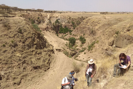 La Rift Valley ad Asela, in Etiopia (fonte: Università di Firenze - Cnr-Igg)