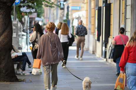 Una strada di shopping