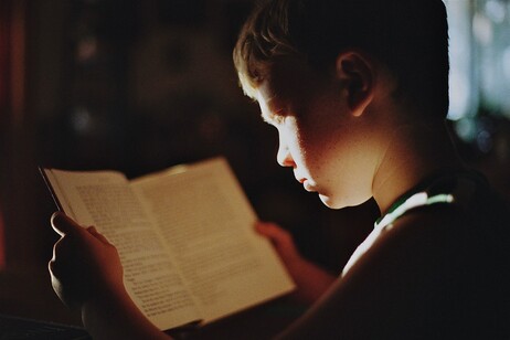 Un ragazzo intento a leggere (fonte: Sabrina Eickhoff da Pixabay)