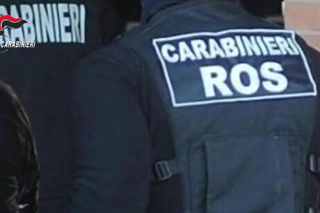 Gruppo pro Isis su TikTok, leader una ragazza a Bologna