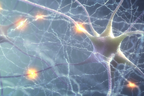 Rappresentazione artistica di neuroni e delle loro connessioni (fonte: ktsimage, iStock)