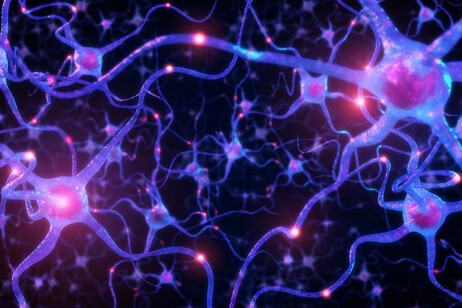 Rappresentazione artistica di connessioni fra i neuroni (fonte: onimate, iStock)