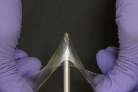 I gel vetrosi possono allungarsi fino a cinque volte senza rompersi (fonte: Meixiang Wang, North Carolina State University)