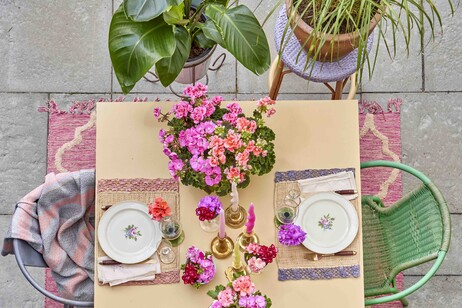 Gerani a tavola per suggestive macchie di colore @ Pelargonium For Europe