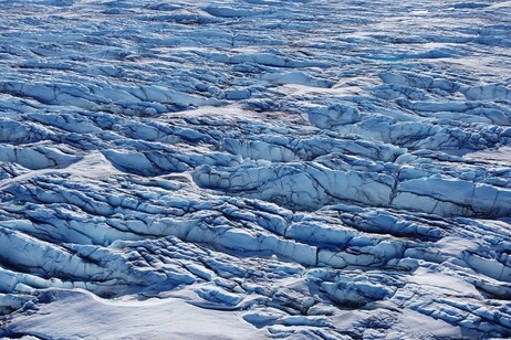 I ghiacci della Groenlandia anneriti dalle microalghe (fonte: Shunan Feng)