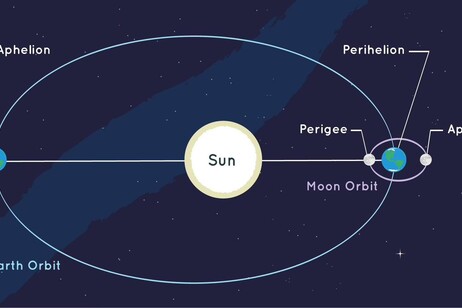 La Terra ha raggiunto il punto più lontano dal Sole della sua orbita, il cosiddetto afelio (fonte: NASA)