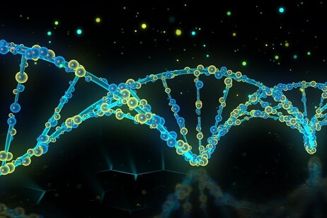 La mutazione colpisce il gene Rab32 nell’0,7% dei pazienti (fonte: pixabay)