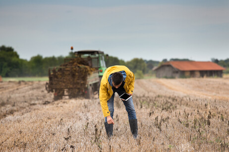 In arrivo le conclusioni unitarie sul futuro dell'agricoltura