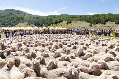 Festa della transumanza sull'altopiano di Rascino