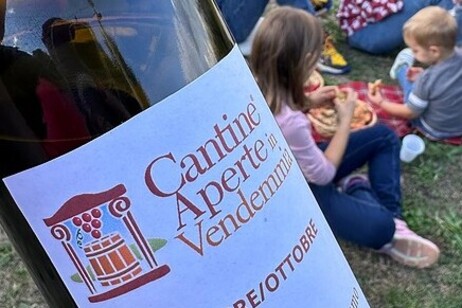 Cantine Aperte in Vendemmia, evento dal Nord al Sud dell'Italia