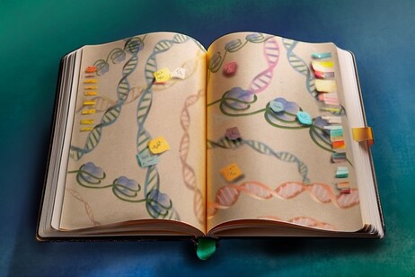 Le modificazioni epigenetiche sono come annotazioni e sottolineature sul libro del genoma (fonte: Isabel Romero Calvo/EMBL, immagine generata con il supporto di Adobe Firefly AI)