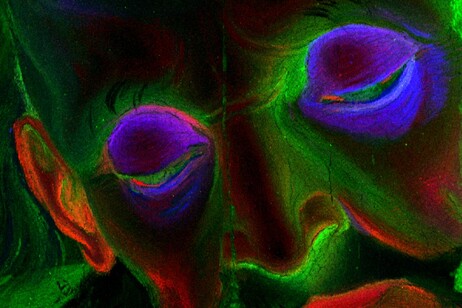 Composizione Rgb della distribuzione di mercurio (rosso), rame (blu) e ferro (verde) sul volto dell’Eterno (fonte: Cnr-Ispc)