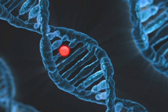 Individuate 17 rare mutazioni genetiche legate all’insorgenza di malattie cardiovascolari (fonte: Pixabay)