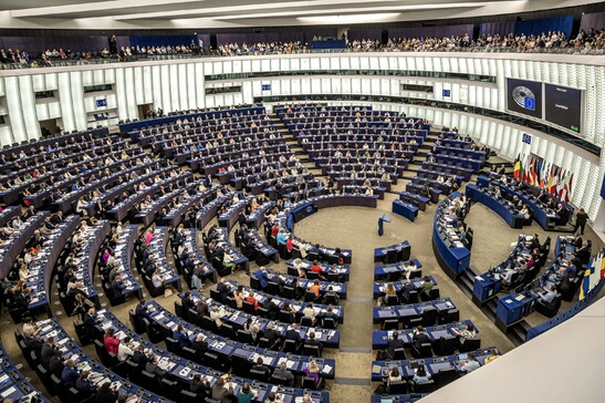 Il Parlamento europeo chiede "ogni forma necessaria" di aiuto all'Ucraina