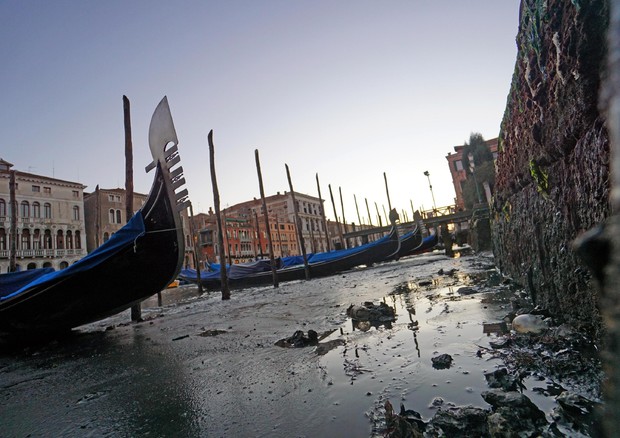 Bassa marea a Venezia © ANSA