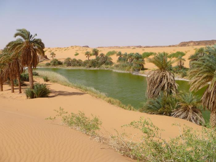 Sahara green and populated years ago - English - ANSA.it