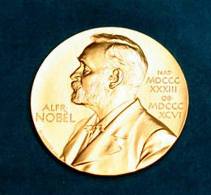 Oggi l’annuncio dei vincitori del Nobel per la Chimica  DIRETTA DALLE 11,45 – Fisica e Matematica – Ansa.it