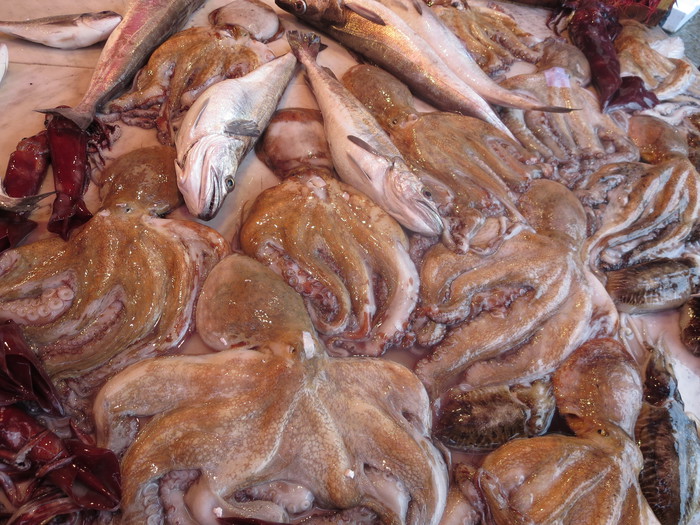 Scatta il fermo pesca lungo la costa dell'Adriatico - Dal Mare 