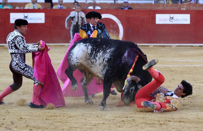 Nell'arena col torero, incontro con il cast dello spettacolo Ho paura torero  - Mentelocale Web Magazine