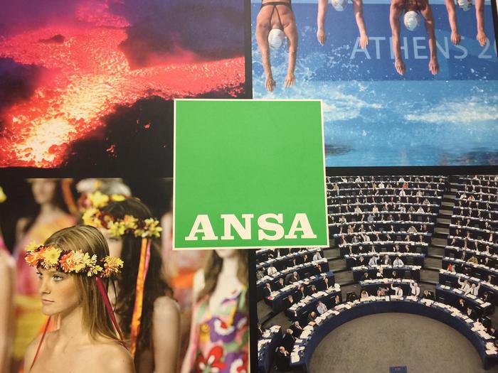 ANSA journo takes helm of Culture Institute in London