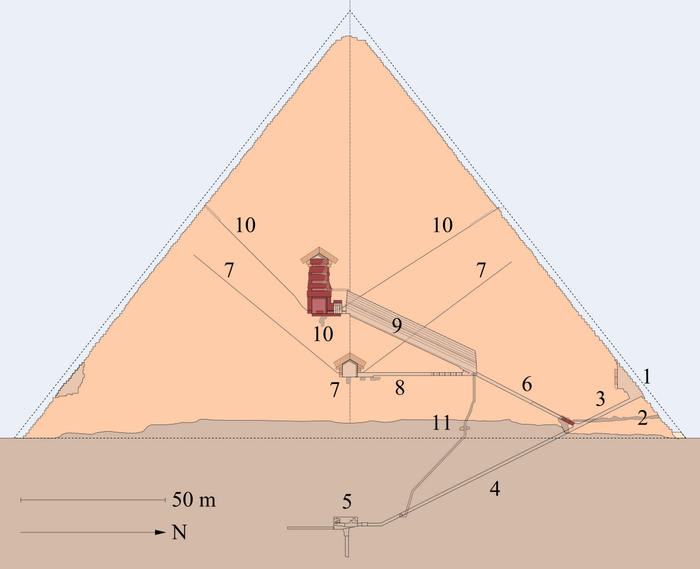 Diagramma che mostra la piramide energetica artica per l