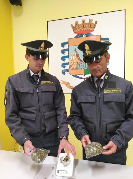 La Gdf Sequestra 220 Grammi Di Droga - Notizie - Ansa.it