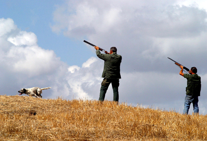 Approvato il calendario della caccia, si inizia il 3 settembre – Notizie