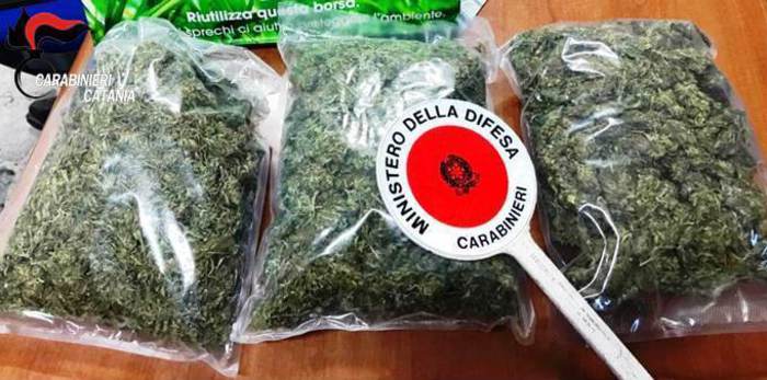 Drug Mule 70 Nabbed TopNews Ansa It   9103d31f0e7113926e8f01f4b474865e 