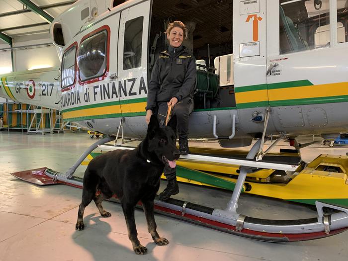 LEI E IL SUO CANE DA GUARDIA - GIORNALE POP 