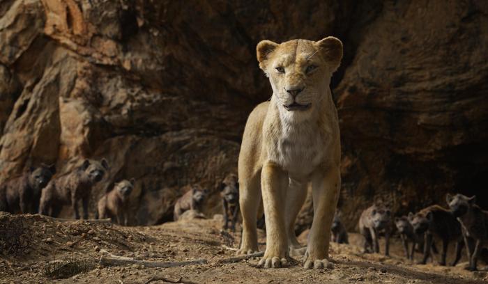 Il Re Leone', Jon Favreau e la nuova avventura iperrealista di Simba - la  Repubblica