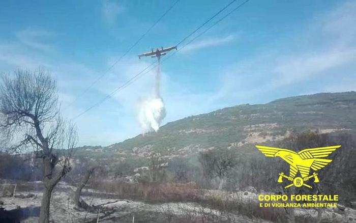 Brucia un bosco nel sud Sardegna, interviene il Canadair – Notizie