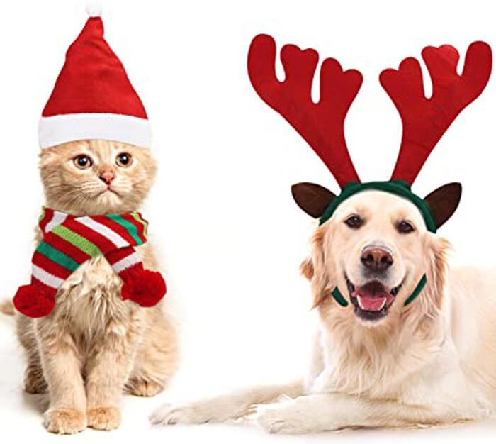 Per gatti e cani, i 20 migliori regali di Natale - Pets 