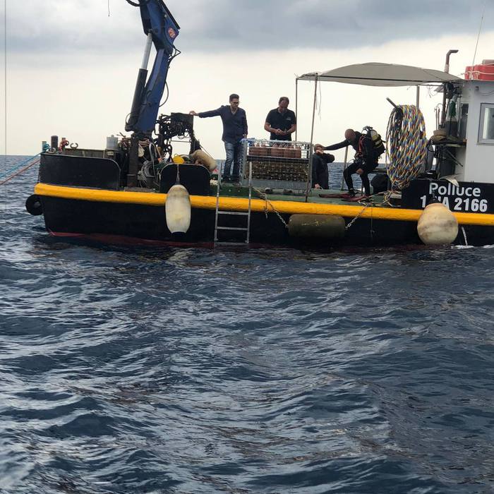 Area Marina Protetta Regno di Nettuno: Novità: La tappa ischitana