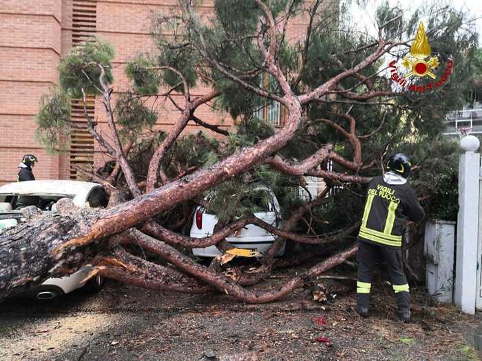 maltempo albero cade su auto in sosta a faenza rimosso da vvf emilia romagna ansa it