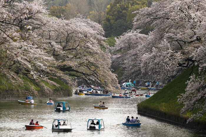 Giappone, tutto sul paese più eccentrico del Paese - Tempo Libero 
