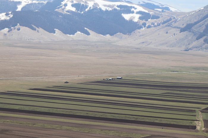 Cominciata La Semina Delle Lenticchie A Castelluccio Umbria Ansa It