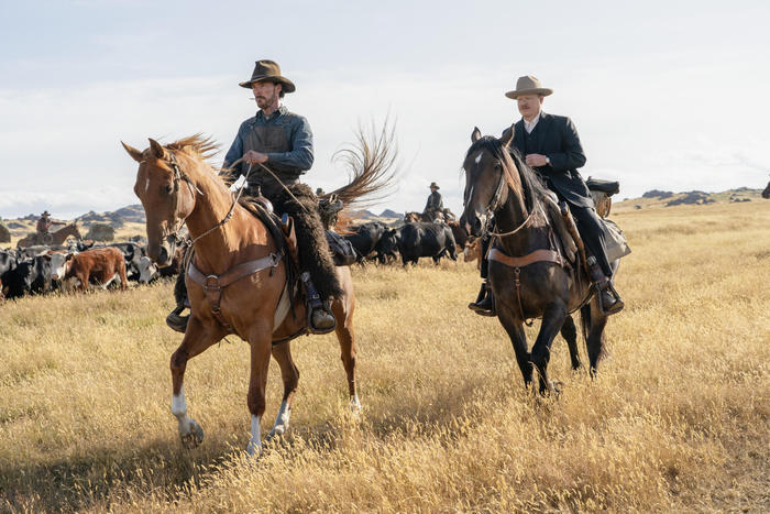 il potere del cane western tossico di jane campion cinema ansa