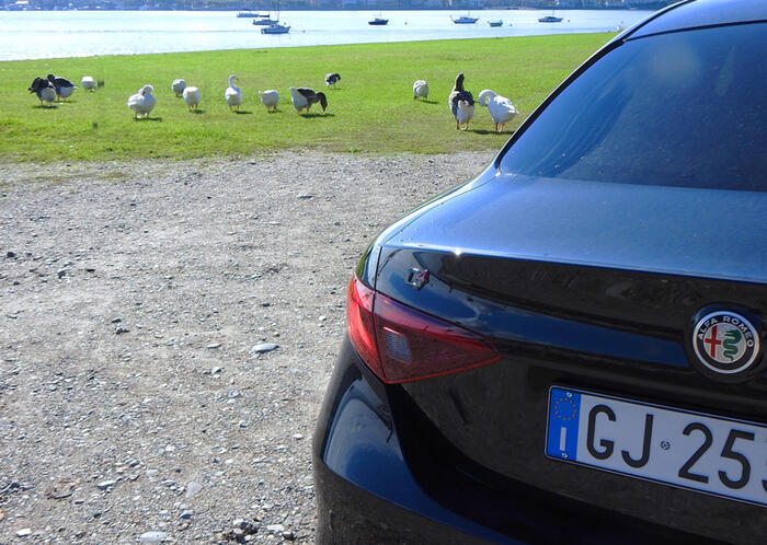 Alfa Romeo Giulia Estrema, ma sempre rispettosa della natura - La Prova di  ANSA Motori 