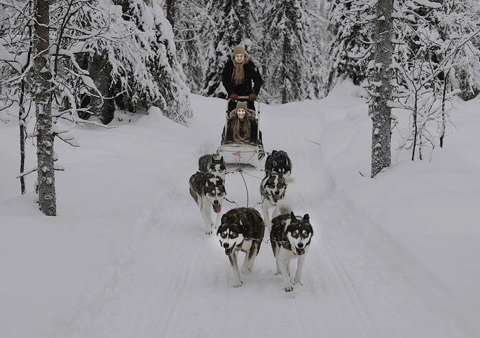 Renne, Sisu e sci, a Natale si regala la Finlandia - Tempo Libero 