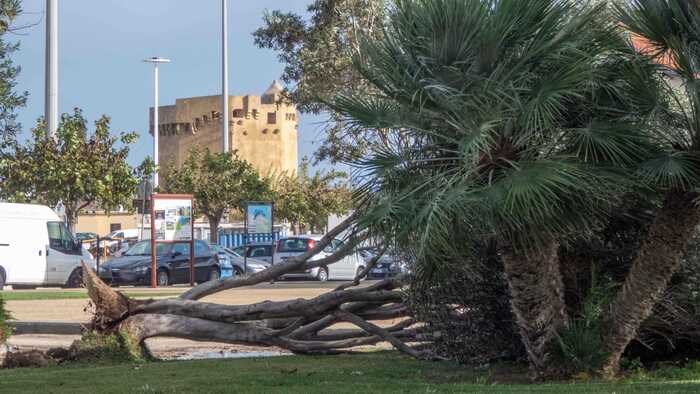 Maltempo: Porto Torres Dichiara Stato Di Calamità Naturale - Notizie ...