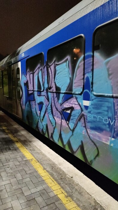 A Matera imbrattano un treno delle Fal, deferiti in quattro – Notizie