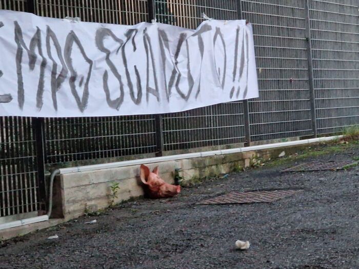 Calcio: testa di maiale trovata davanti alla sede dello Spezia – Notizie