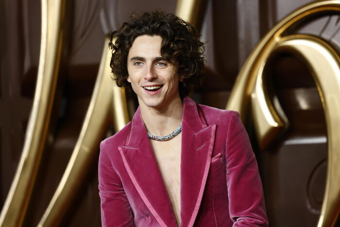 Chalamet, Wonka giovane sognatore che non si arrende - Notizie 