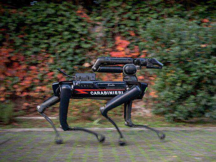 I Carabinieri arruolano Saetta, il primo cane-robot - Notizie 