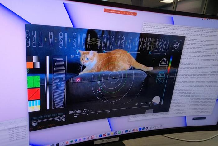 Un gatto nel primo video in streaming dallo spazio profondo VIDEO - Spazio  e Astronomia 