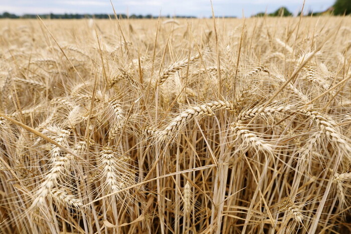 Agroalimentare, il settore trainante in Italia – Economia