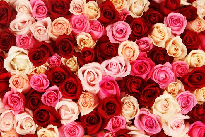 San Valentino, è la rosa il fiore dell'amore: buono anche da mangiare - la  Repubblica