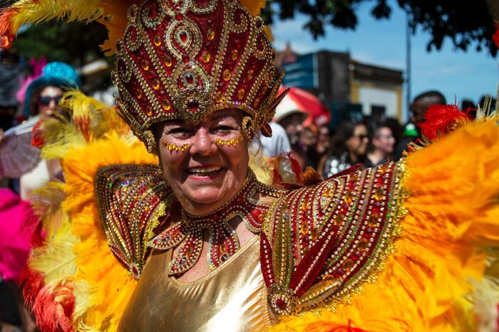 Al via il carnevale in Brasile, attesi 46 milioni in festa - Mondo - ANSA